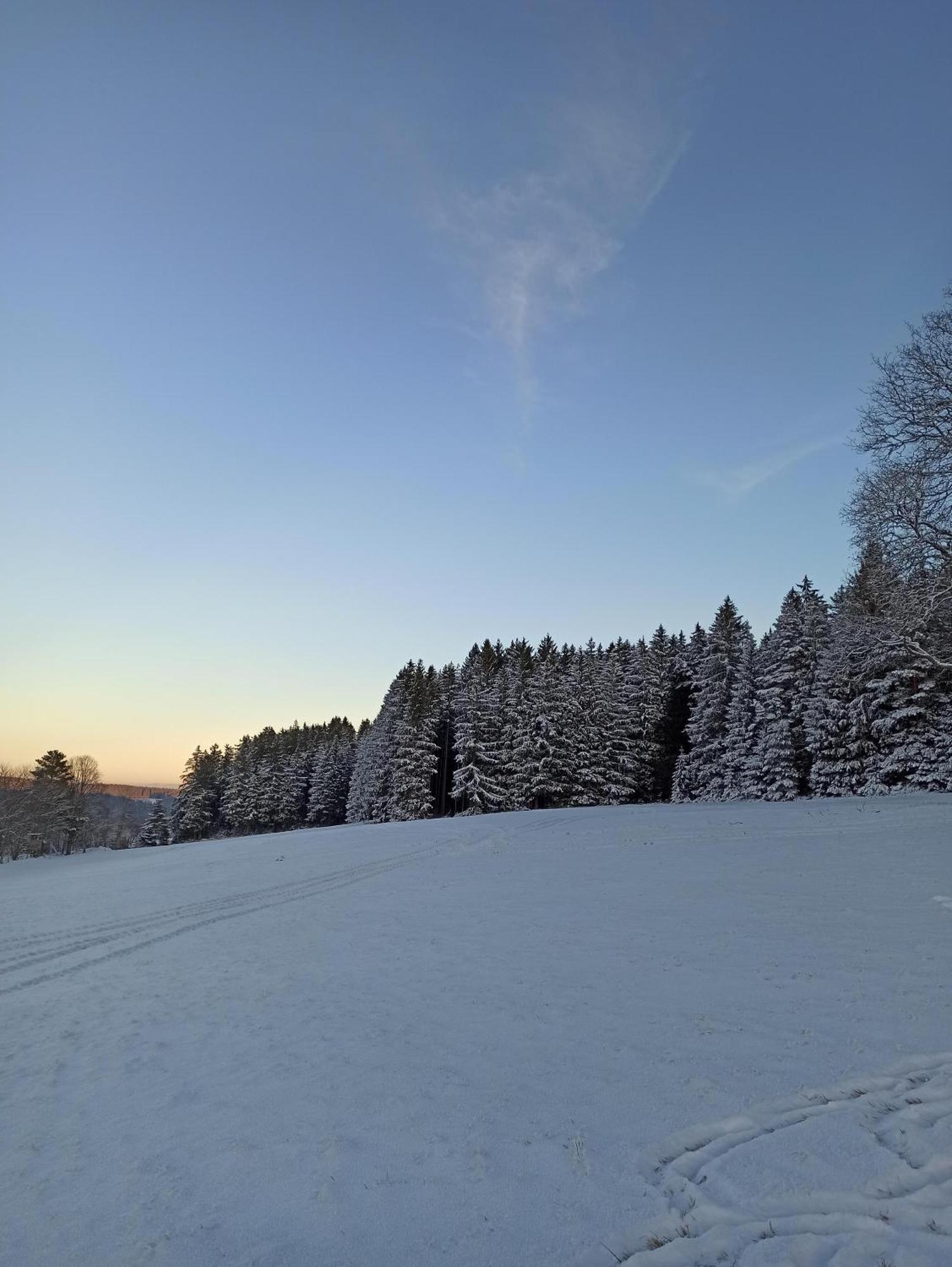 Ferienwohnung Brentenholz Sankt Georgen im Schwarzwald Exterior photo