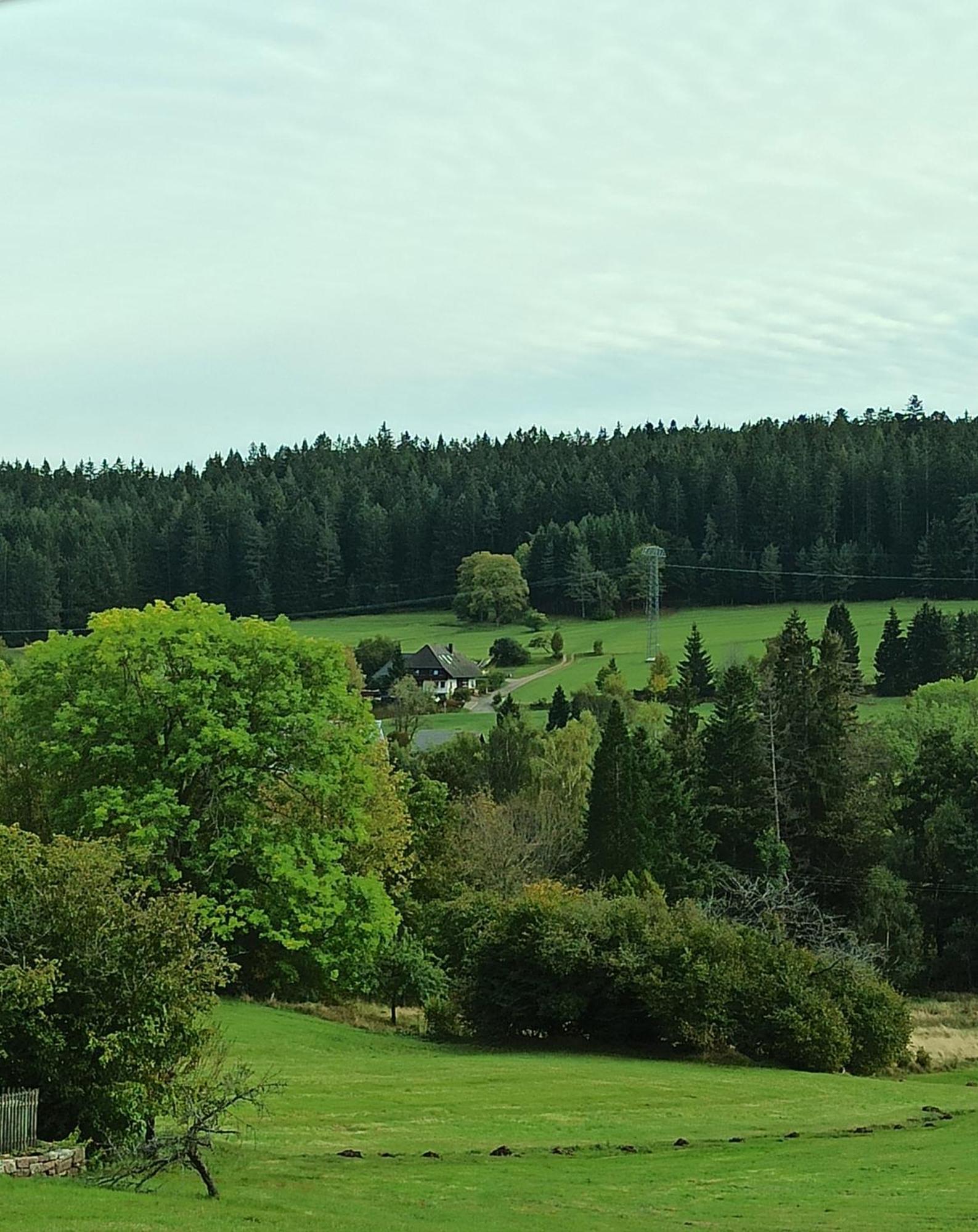 Ferienwohnung Brentenholz Sankt Georgen im Schwarzwald Exterior photo